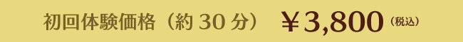 初回体験価格（約30分）　￥3,800（税込）