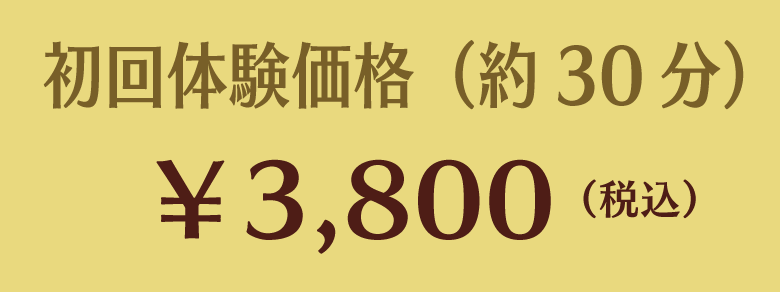 初回体験価格（約30分）　￥3,800（税込）